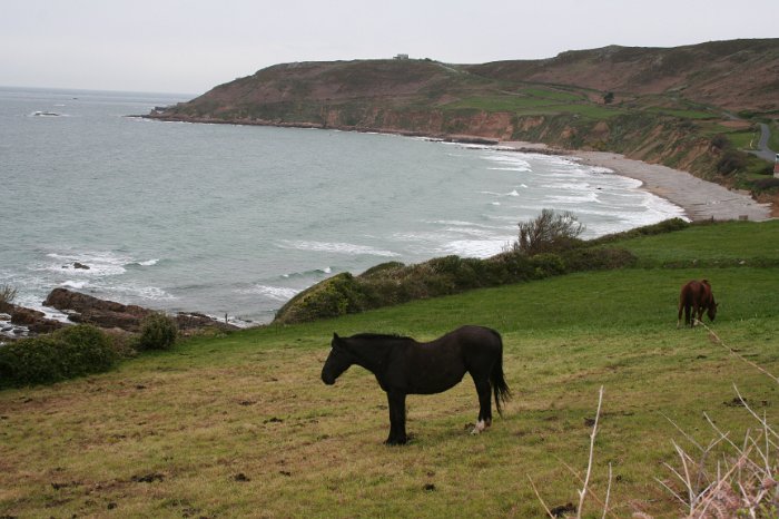 sortie Cotentin 049